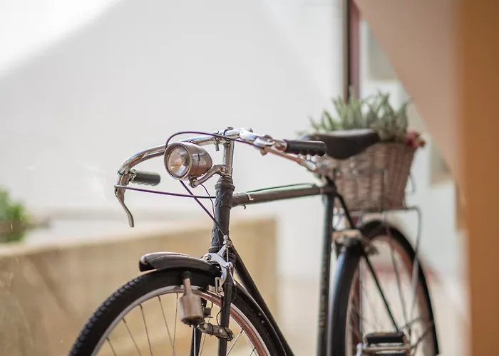 Willa 241 Ponte de Lima